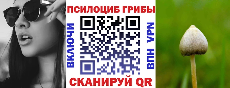 Псилоцибиновые грибы Magic Shrooms Лебедянь